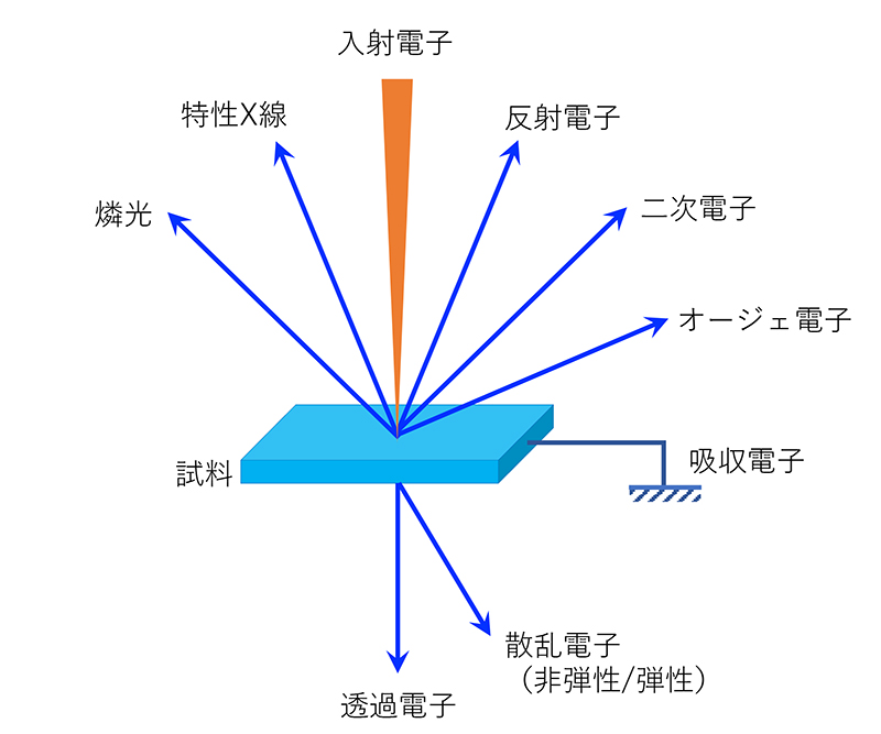 (JPG摜)